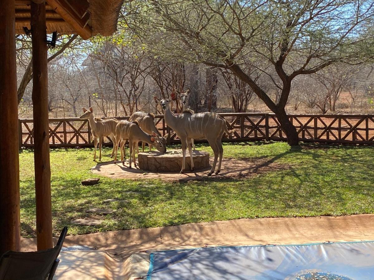 Genet House Holiday Home Marloth Park Eksteriør bilde