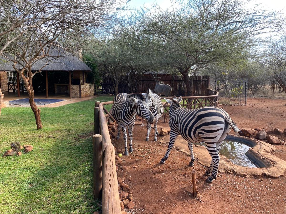 Genet House Holiday Home Marloth Park Eksteriør bilde