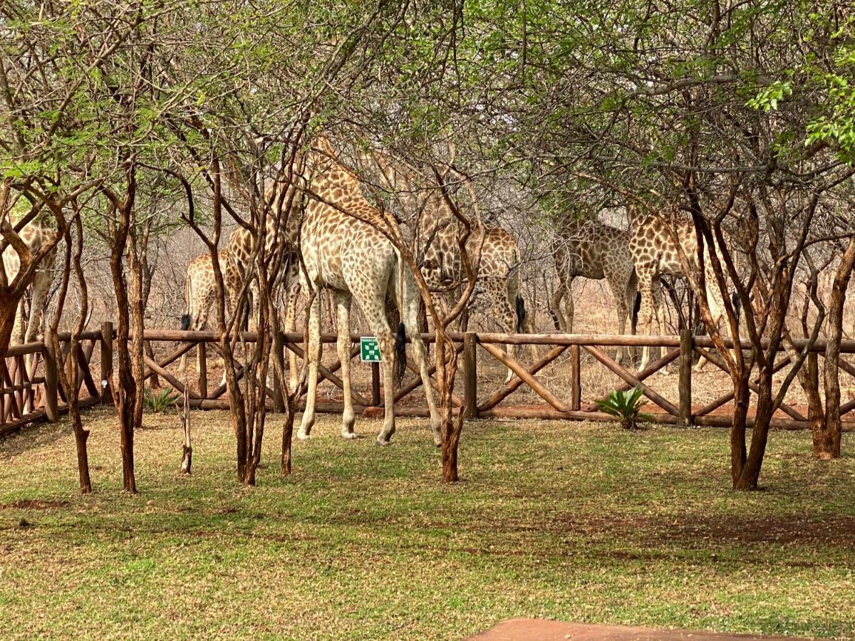 Genet House Holiday Home Marloth Park Eksteriør bilde